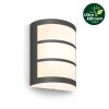 Philips Lights Python outdoor wall light LED anthracite, 1-light source