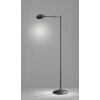 Trio KAZAN Floor Lamp LED black, 1-light source