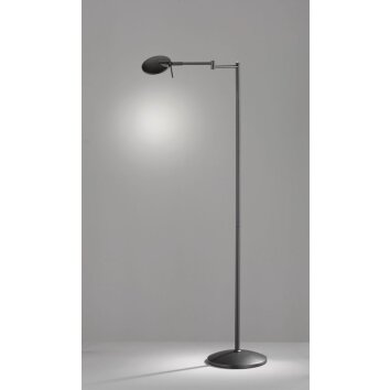 Trio KAZAN Floor Lamp LED black, 1-light source