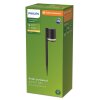 Philips Lights Fyce pedestal light LED black, 1-light source