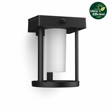 Philips Lights Camill wall light LED black, 1-light source, Motion sensor