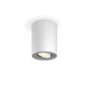 Philips Lights Pillar ceiling light white, 1-light source