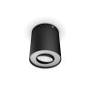 Philips Lights Pillar ceiling light black, 1-light source