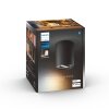 Philips Lights Pillar ceiling light black, 1-light source