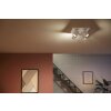 Philips Lights Argenta ceiling light white, 1-light source, Colour changer