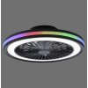 Leuchten Direkt lights BRANDON ceiling light LED black, 2-light sources, Remote control, Colour changer