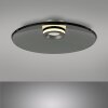 Paul Neuhaus lights Moon ceiling light LED silver, 2-light sources