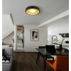 Globo lighting Woki ceiling light LED black, 1-light source