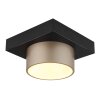 Globo lighting Raymond ceiling light LED anthracite, black, 1-light source