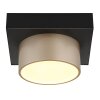 Globo lighting Raymond ceiling light LED anthracite, black, 1-light source