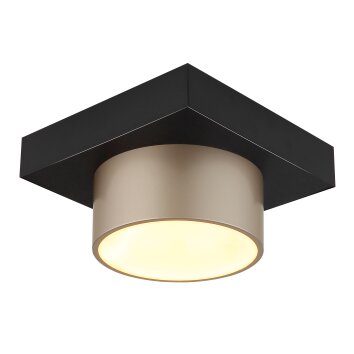Globo lighting Raymond ceiling light LED anthracite, black, 1-light source