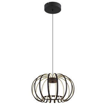 Globo lighting Ribbon hanging light LED black, 1-light source