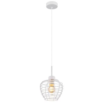 Globo lighting Nesa hanging light white, 1-light source