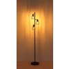 Globo lighting Mateo floor lamp rust-coloured, 3-light sources