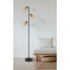 Globo lighting Mali floor lamp black, 3-light sources