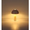 Globo lighting Paulin table lamp champagne, stone appearance, 1-light source