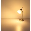 Globo lighting Malte table lamp matt nickel, 1-light source