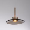 Paul Neuhaus lights Moon pendant light LED bronze, 4-light sources