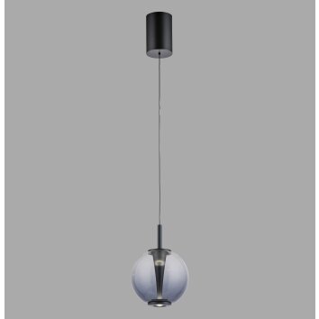Paul Neuhaus lights Infinity pendant light LED grey, 1-light source, Remote control