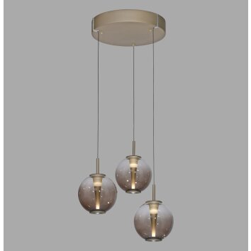 Paul Neuhaus lights E-Infinity pendant light LED bronze, 3-light sources, Remote control