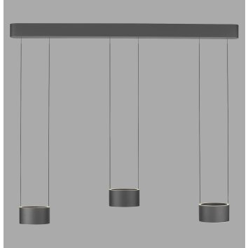Paul Neuhaus lights Clipse pendant light LED grey, 6-light sources, Remote control