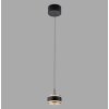 Paul Neuhaus lights Rings pendant light LED black, transparent, clear, 1-light source, Remote control