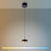 Paul Neuhaus lights Rings pendant light LED black, transparent, clear, 1-light source, Remote control