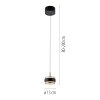 Paul Neuhaus lights Rings pendant light LED black, transparent, clear, 1-light source, Remote control