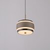 Paul Neuhaus lights Rings pendant light LED bronze, chrome, 1-light source, Remote control