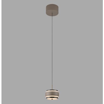 Paul Neuhaus lights Rings pendant light LED bronze, chrome, 1-light source, Remote control