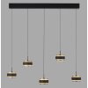 Paul Neuhaus lights Rings pendant light LED black, transparent, clear, 5-light sources, Remote control