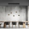 Paul Neuhaus lights Rings pendant light LED black, transparent, clear, 5-light sources, Remote control