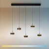Paul Neuhaus lights Rings pendant light LED black, transparent, clear, 5-light sources, Remote control