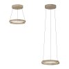 Paul Neuhaus lights E-Loop pendant light LED bronze, 2-light sources, Remote control