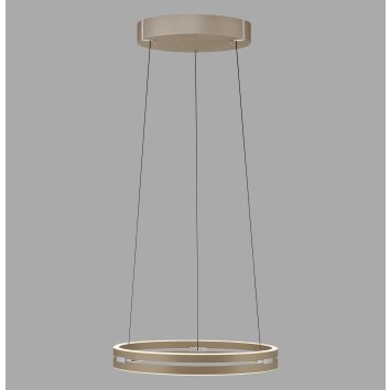 Paul Neuhaus lights E-Loop pendant light LED bronze, 2-light sources, Remote control