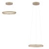 Paul Neuhaus lights E-Loop pendant light LED bronze, 2-light sources, Remote control