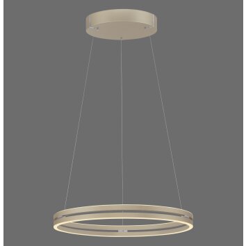 Paul Neuhaus lights E-Loop pendant light LED bronze, 2-light sources, Remote control