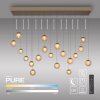 Paul Neuhaus lights Popup pendant light LED bronze, 19-light sources, Remote control