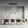 Paul Neuhaus lights Popup pendant light LED grey, 13-light sources, Remote control