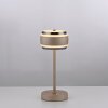 Paul Neuhaus lights Rings table lamp LED bronze, chrome, 1-light source