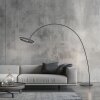Paul Neuhaus lights Loop-Bow floor lamp, Arch lamps LED black, 2-light sources