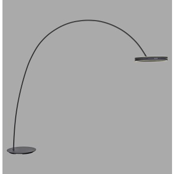 Paul Neuhaus lights Loop-Bow floor lamp, Arch lamps LED black, 2-light sources