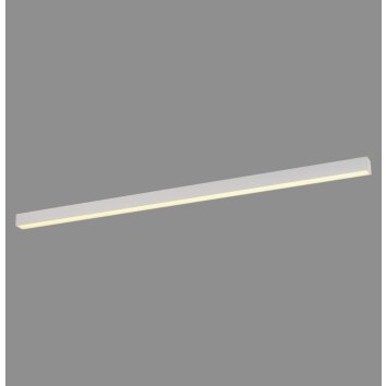 Paul Neuhaus lights Straight ceiling light LED white, 1-light source, Remote control