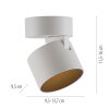Paul Neuhaus lights Cup ceiling light LED white, 1-light source