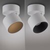 Paul Neuhaus lights Cup ceiling light LED white, 1-light source