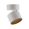 Paul Neuhaus lights Cup ceiling light LED white, 1-light source
