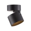 Paul Neuhaus lights Cup ceiling light LED black, 1-light source