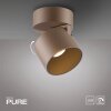 Paul Neuhaus lights Cup ceiling light LED bronze, 1-light source