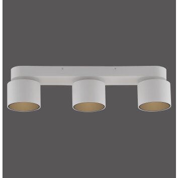 Paul Neuhaus lights Cup ceiling light LED white, 3-light sources