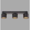 Paul Neuhaus lights Cup ceiling light LED black, 3-light sources